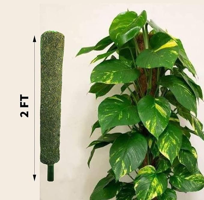 Plant Support Moss Stick, Green Grass Pole for Money Plant, Climbing Indoor Plants, 2 Ft