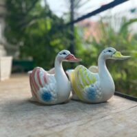 Pot Duck -6 inch (2nos.)