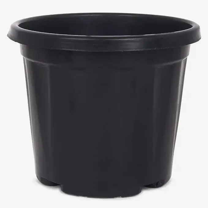 Pot-Nusery Black Pot- 10 inch
