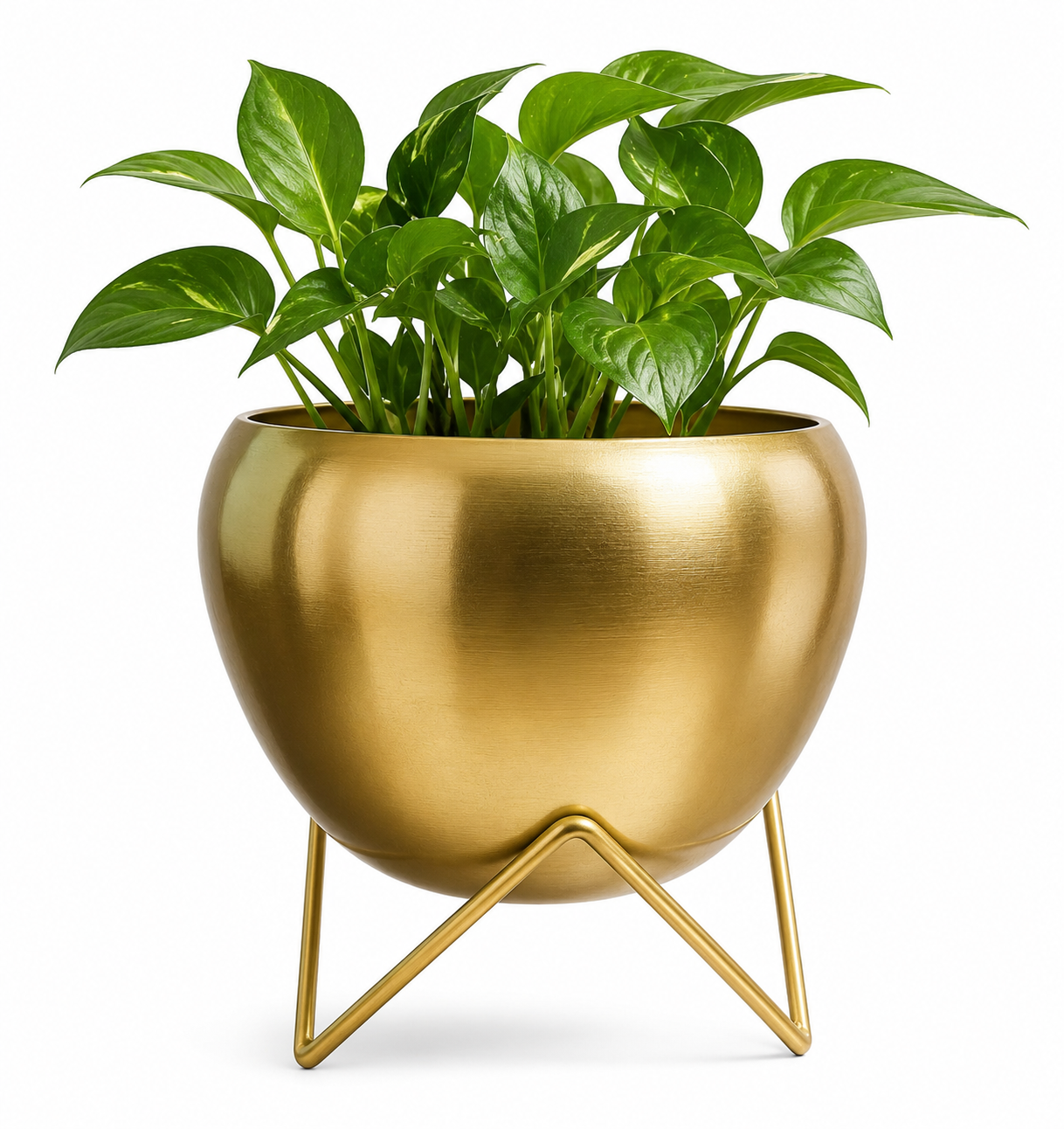 Gold Plated Metal finish Pot with Stand – 5"Diameter